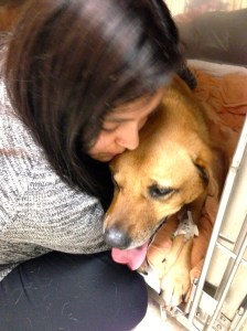 Visiting Maahi in ICU